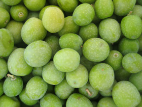 olive della toscana